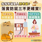 因應漢他病例清消　北市府：公共空間見鼠類可通報