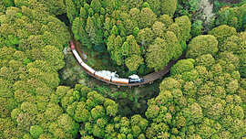 Taiwan PASS推燈會限定版　限量1000套14日開賣