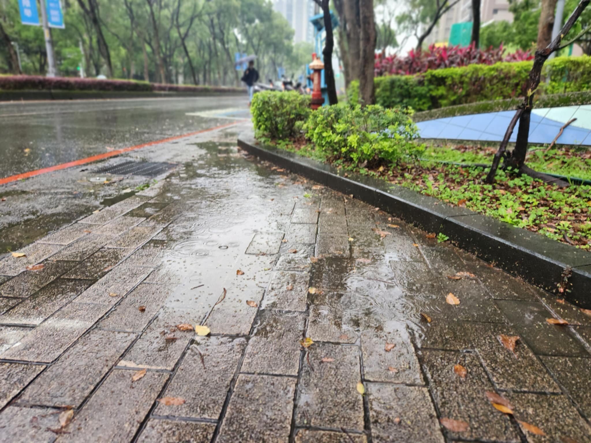 明天是元宵節，鋒面由北而南通過，各地易有陣雨。圖／5168實價登錄比價王資料照