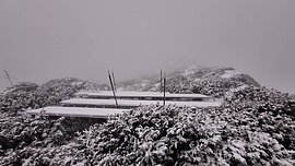 玉山積雪5公分　氣象署：有結冰與霧淞現象