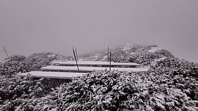 玉山積雪5公分　氣象署：有結冰與霧淞現象