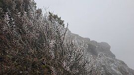 玉山中午再度降雪　持續1小時