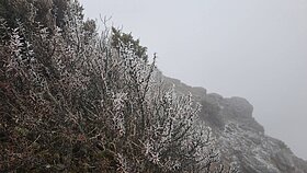 玉山中午再度降雪　持續1小時